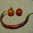 Tomaten chili smiley (c) manuela waldner 1