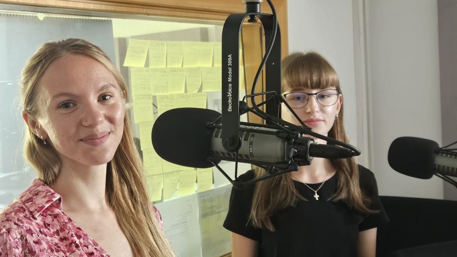 Elche, Sol y Palmeras 