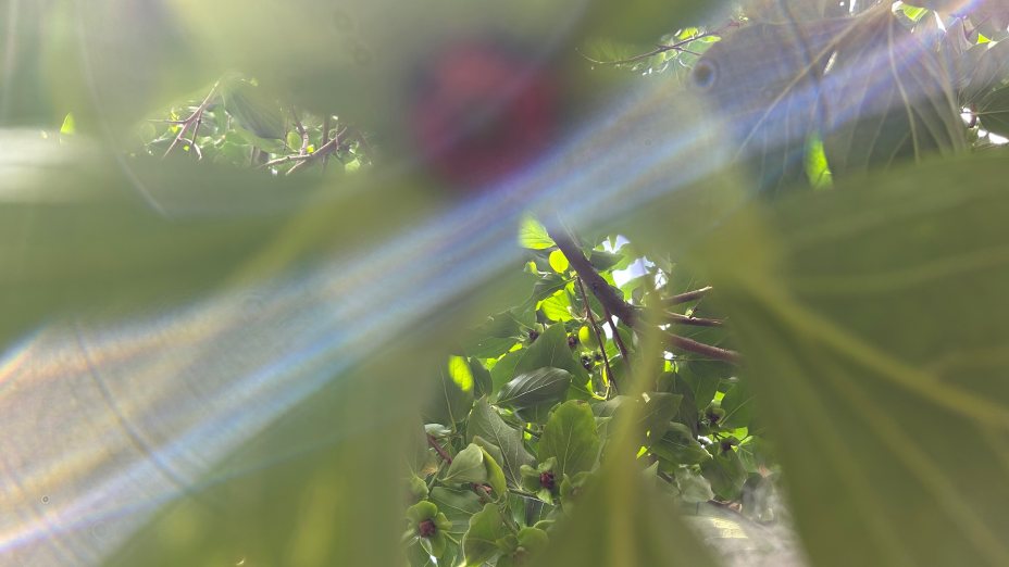 zeitlos im fluss
(c) MariaAlrauneHoppe