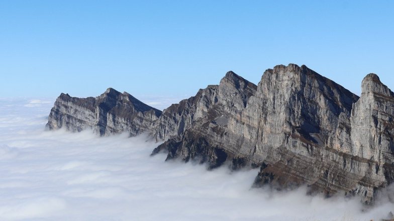 Bild zu: Radikalisiert euch – aber richtig! 