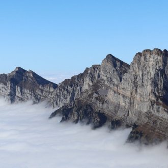 Bild zu:Radikalisiert euch – aber richtig! 