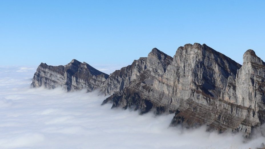 Radikalisiert euch – aber richtig! 