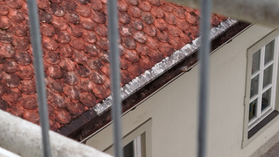 Še par potnih | Noch ein paar für den Weg #5