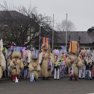 Bild zu:Kurenti na VS Wagna