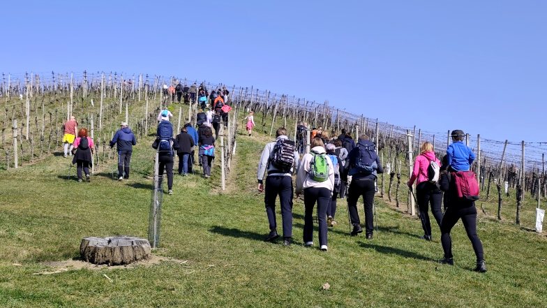 Bild zu: Pohod ob dnevu žena I Frauentag Wanderung VINOTOUR