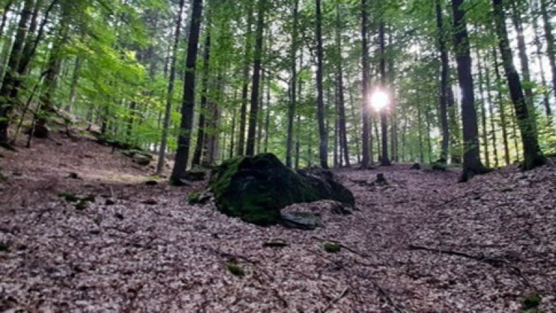 Bild zu: UNIKUM 2026 - Umetnost, raziskovanje in nemirne vode