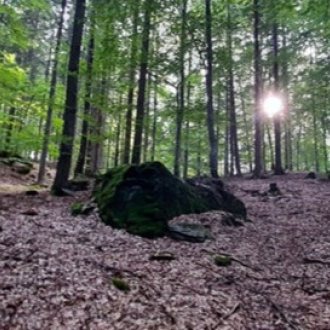 Bild zu:UNIKUM 2026 - Umetnost, raziskovanje in nemirne vode