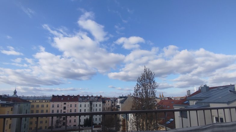 Bild zu: Še par potnih | Noch ein paar für den Weg #7