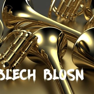 Bild zu:Ins Blech blosn 