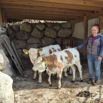 Bild zu:Življenje s kravami dojiljami na gorski kmetiji