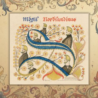 Bild zu:Mógil – Norðlandínus