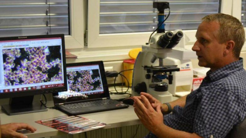 Bild zu: Dunkelfeldmikroskopie - Diagnostik mit Vitalblutanalyse
