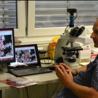 Bild zu:Dunkelfeldmikroskopie - Diagnostik mit Vitalblutanalyse