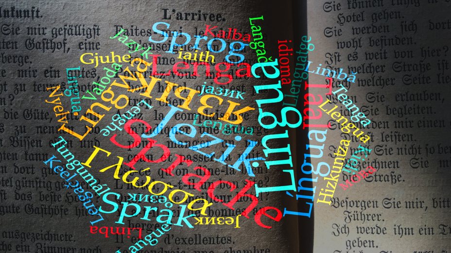 Sprachlandschaften – Zwischenwelten