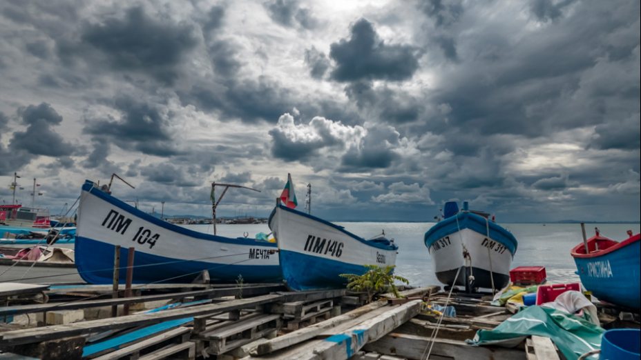 (c) Shutterstock_niki_spasov