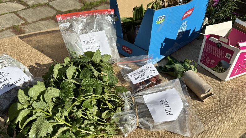Bild zu: Nora jesenska izmenjava I Verrückter Herbst-Tauschmarkt
