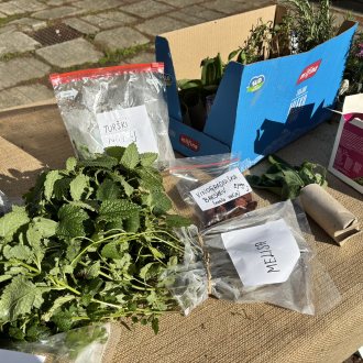 Bild zu:Nora jesenska izmenjava I Verrückter Herbst-Tauschmarkt
