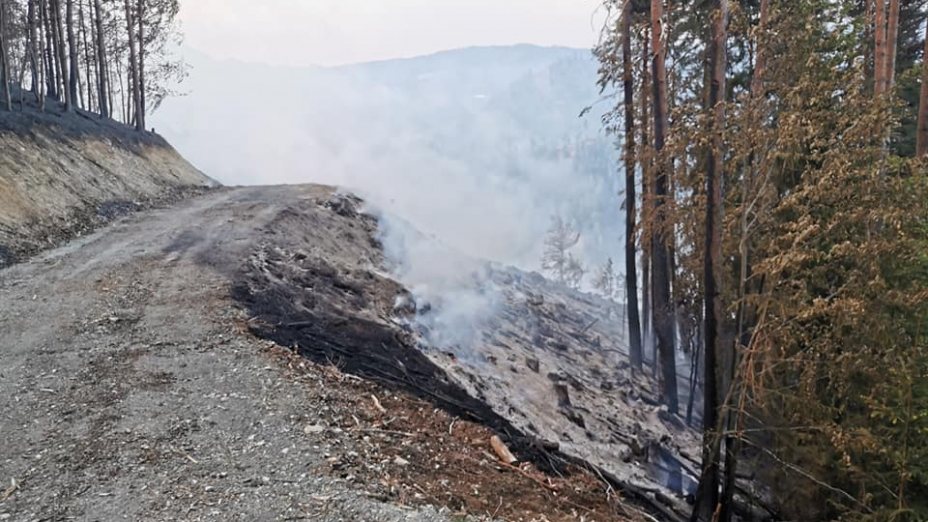 Die Folgen des Waldbrandes in Bad Eisenkappel