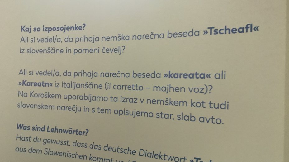 Jezikovni mostovi I Sprachbrücken