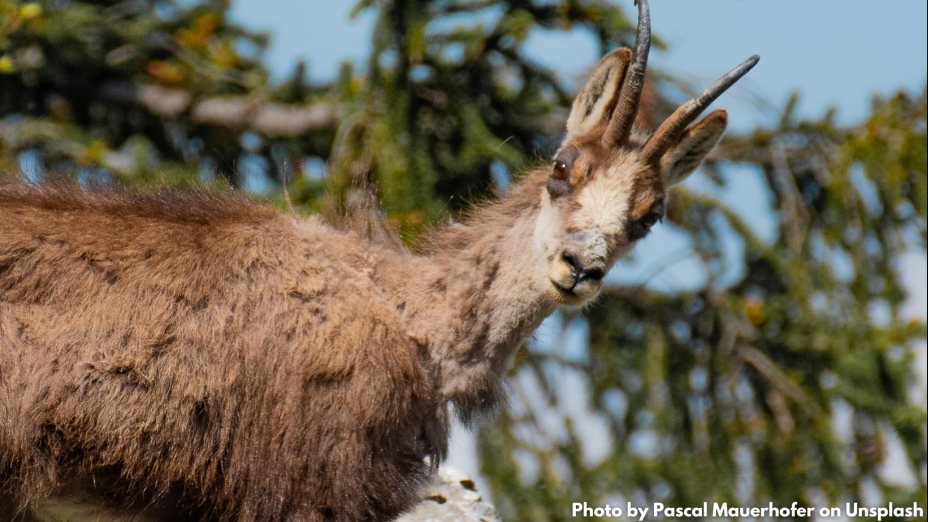 GemSe - Gemeinsam Sein