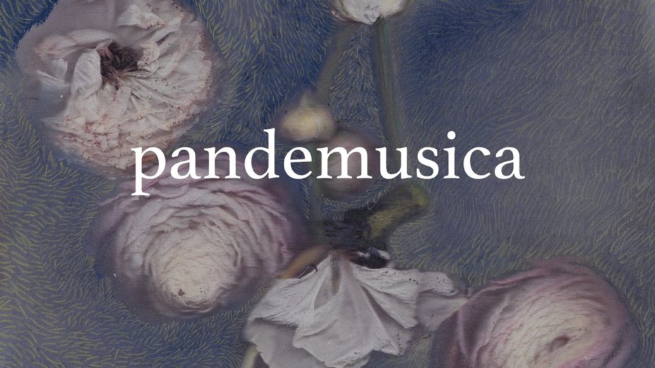 Cantodiscanto: Pandemusica