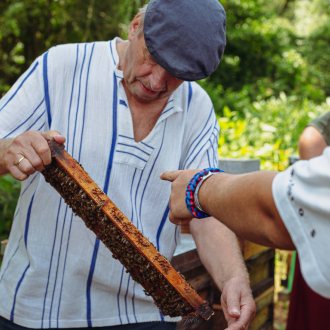 Bild zu:Die Schwarmintelligenz der Bienen