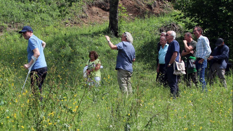 PečnikWiese I Pečnikov travnik News radio AGORA 105,5