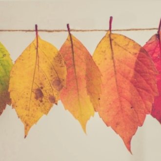 Bild zu:love:style Autumn Vibes