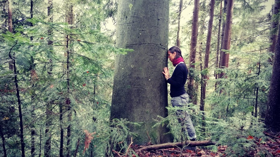 Gozdna terapija I Wald-Therapie