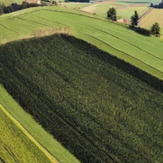 Bild zu:Bodencharta