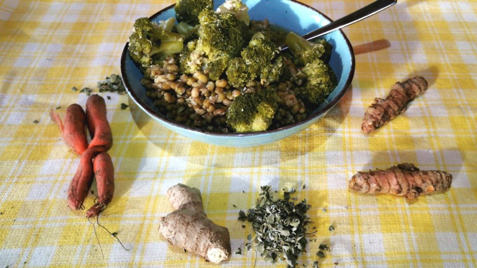 Zdravje po ajurvedi | Gesundheit nach Ayurveda