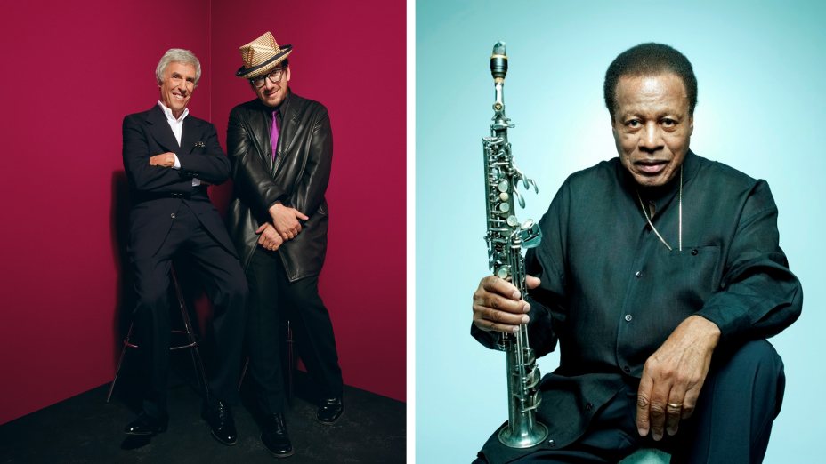 (c) Photography Rankin, Universal