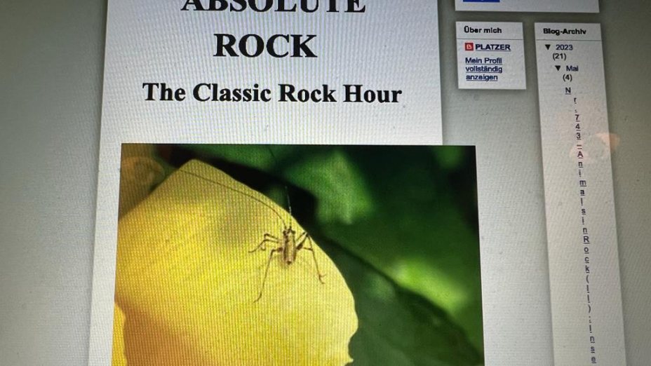 Nr. 743 – Animals in Rock (II): Insects and Spiders