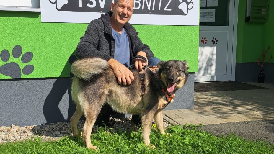 Schaut nicht weg und lasst uns alle zusammenhalten - Tierheim Adamhof Straß