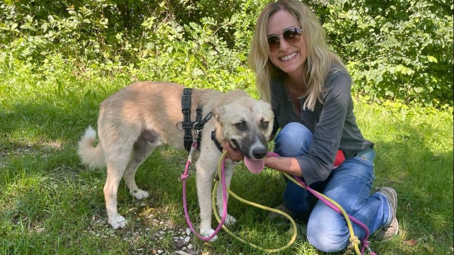 Schaut nicht weg und lasst uns alle zusammenhalten - Tierheim Adamhof Straß