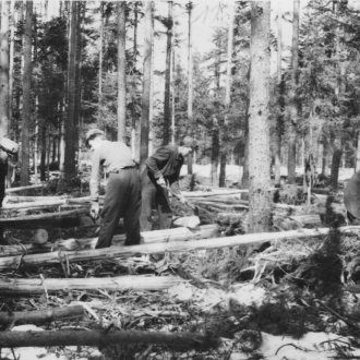 Bild zu:Olcarji I Die Holzfäller