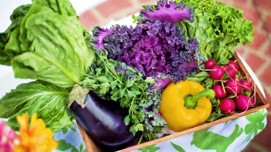 Kuhajmo z Lili - Preprosto vegansko