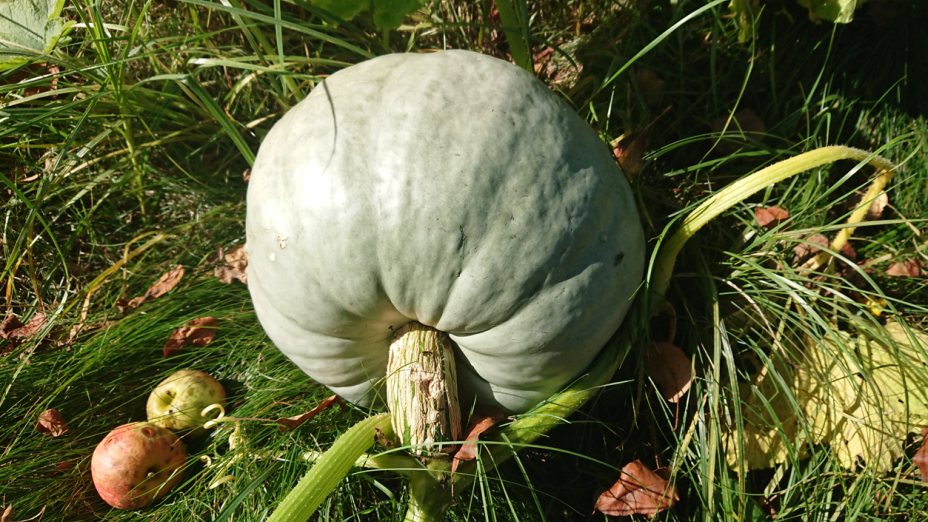 Jesensko ravnovesje | Herbst Gleichgewicht