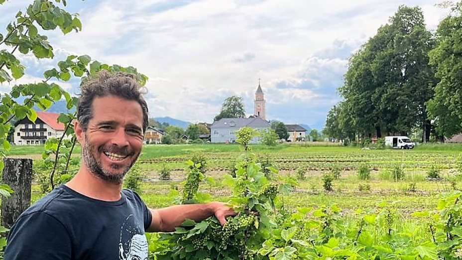  #8 : Unkrautmanagement und Asia Gemüse