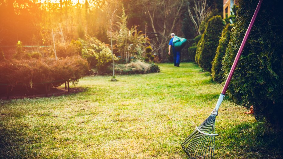 Garten mit Rasenfläche und Büchschen. Im Vordergrund steht ein Rechen an eine Hecke gelehnt und im Hintergrund trägt eine Person einen Sack mit Schnittgut.