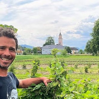 Bild zu:#23: Von Bienen und Läusen