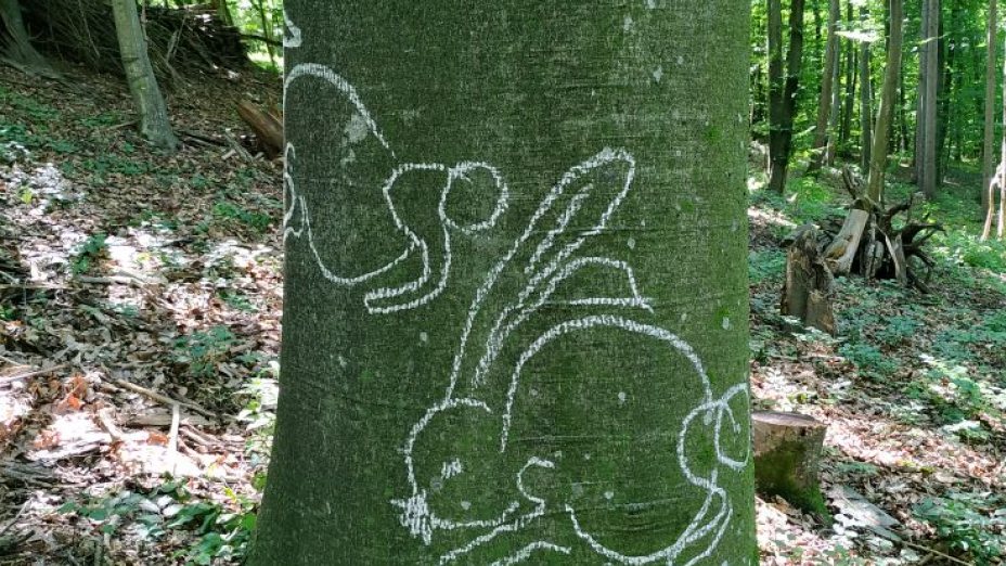 Sinne erfahren und spüren 