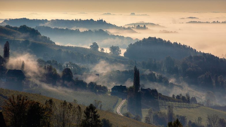 Bild zu: 70 let Južnoštajerske vinske ceste I 70 Jahre Südsteirische Weinstraße 