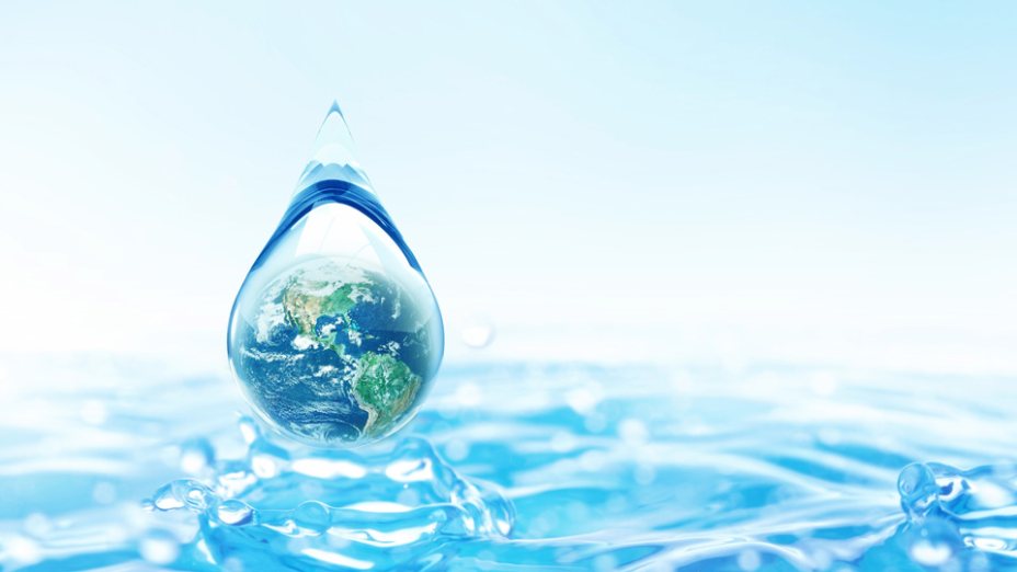 (c) Cozine, Shutterstock