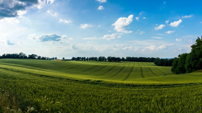 Foto:unsplash. 
