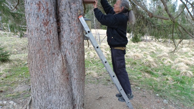 Bild zu: B.A.U.M. - Wald als Lebensraum