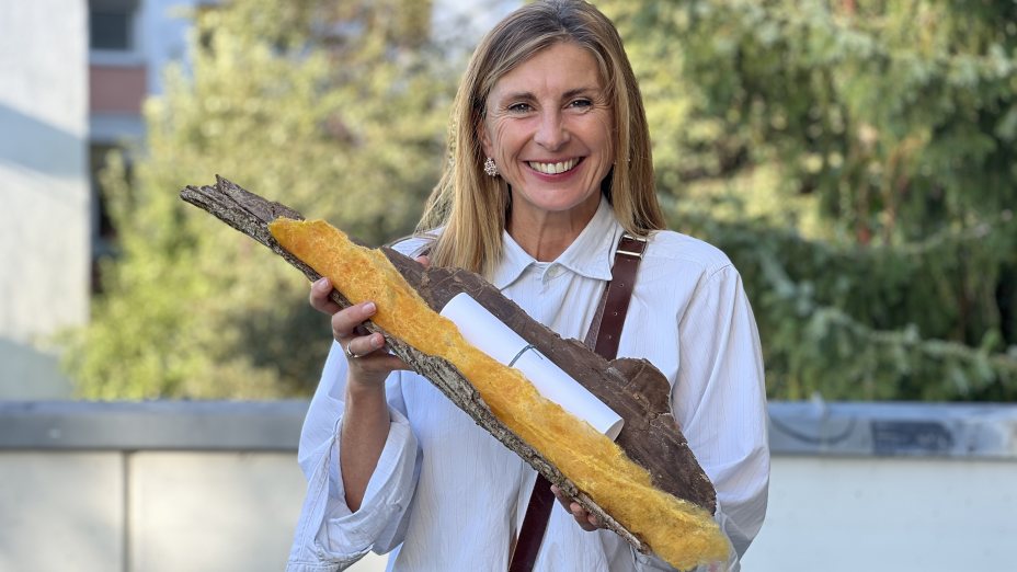 Willkommen in Schlanding, Susanne Kubelka!
