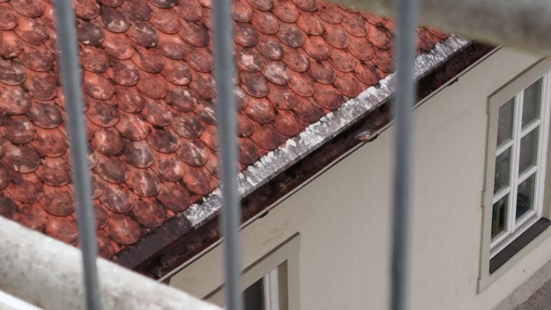 Še par potnih I Noch ein paar für den Weg