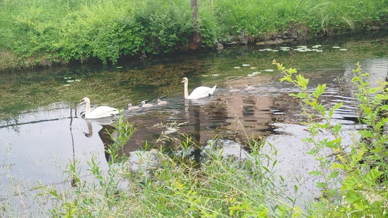 Še par potnih I Noch ein paar für den Weg