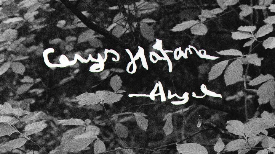 Cerys Hafana - Angel